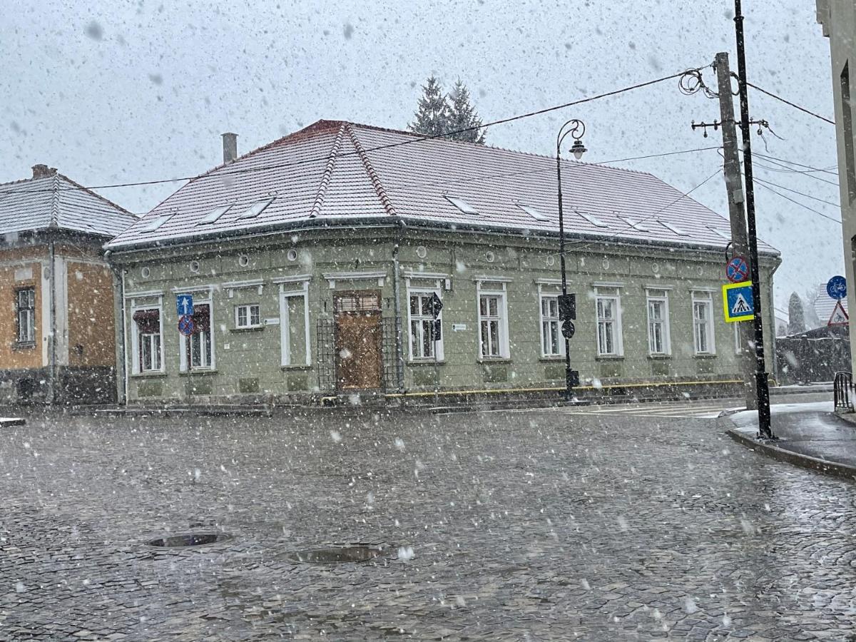 Guest House Hena Sfântu-Gheorghe Kültér fotó